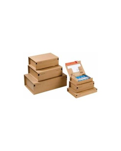 CF10PACCHI CARTONE MM460X310X160