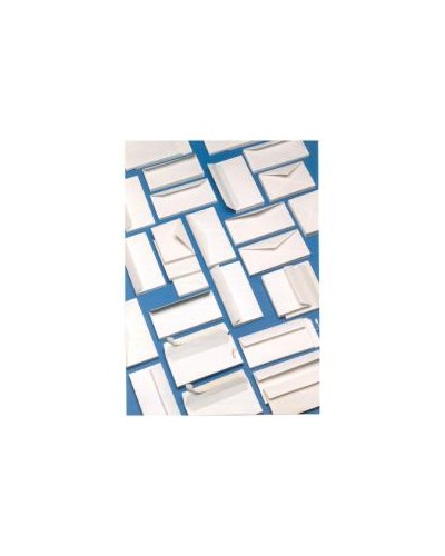 CF500 BUSTE S/FIN 11X23CM