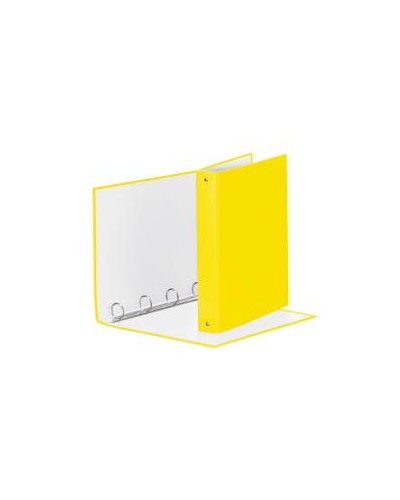 RACCOGL.MEETING 4R GIALLO VIVI22X30