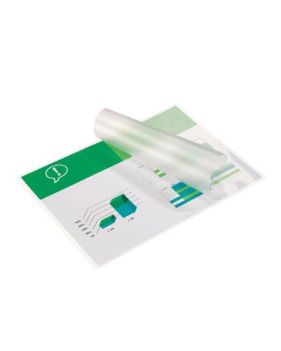 CF100 POUCHES A4 100MY