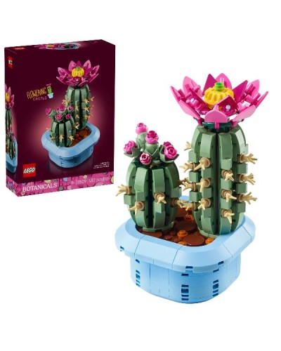 CACTUS IN FIORE