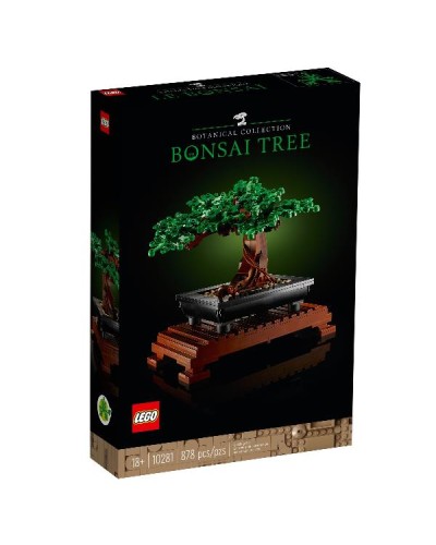 ALBERO BONSAI