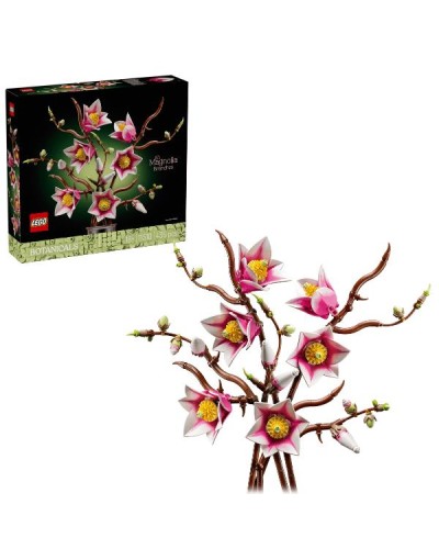 RAMETTI DI MAGNOLIA