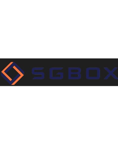 SGBOX PROFESSIONAL SERVICES