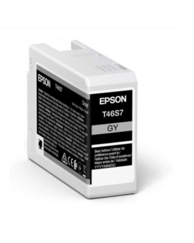 SINGLEPACK GRAY T46S7 ULTRACHROME