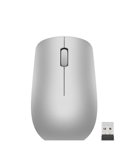 Mouse wireless 530 (grigio platino)