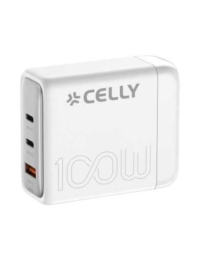 PS3GAN100W - 100W Power Station [PRO POWER]