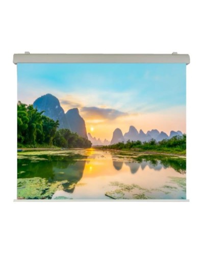 Elettrico 240x240 Professional