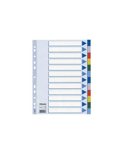 CF10 INTERCALARE PPL 12 T.COLORS A4