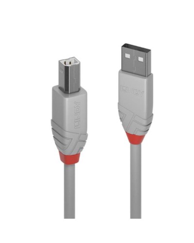 Cavo USB 2.0 Tipo A a B Anthra Line, Grigio, 2m