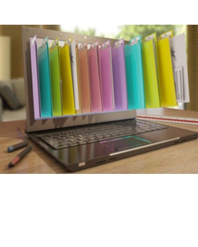 IRISMART  FOR FILE 10