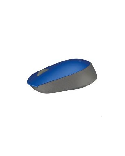 M171 BLUE