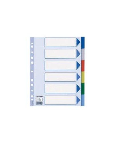 CF20 INTERCALARE PPL 6 T.COLORS A4