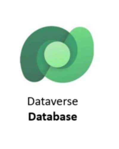 COMMON DATA SERVICE DB CAPACITY NP