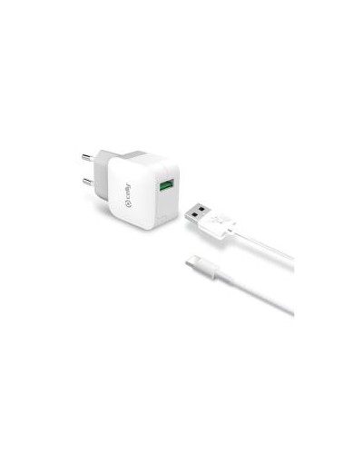 TCUSBTYPEC - 12W USB-A Wall Charger+USB-A to USB-C Cable [TURBO]