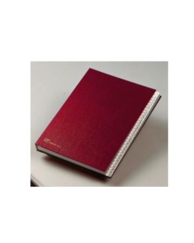 Classificatore Alfabetico A-Z Blu 22 Scomparti
