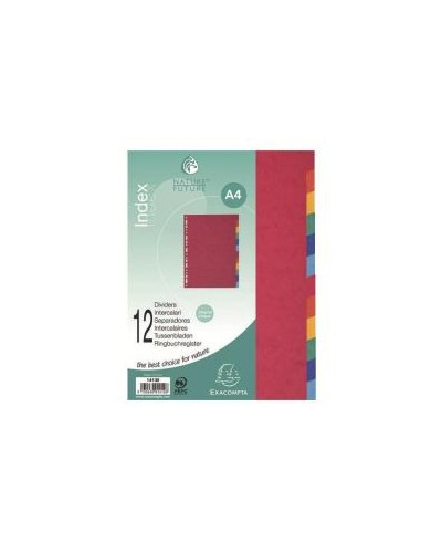 DIVISORI12TASTI A4 NATUREFUTURE