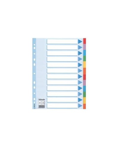 CF10 INTERCAL CARTON12 T.COLORS A4