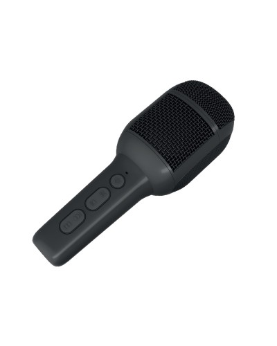 KIDSFESTIVAL2 - 5W Wireless Microphone with Built-in Speaker [PARTY COLLECTION]