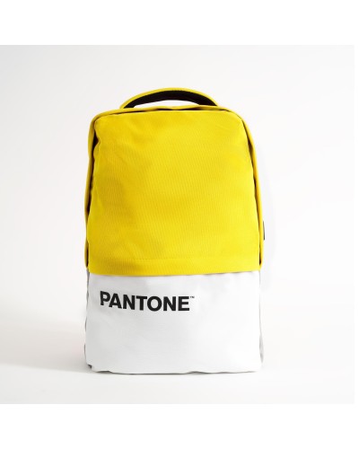 PANTONE - Zaino per Laptop fino a 15.6'''' dimensione display, interfaccia USB per ricarica, tracolla regolabile [IT COLLECTION