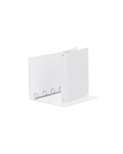 RACCOGLITORE MEETING 4R BIANCO22X30