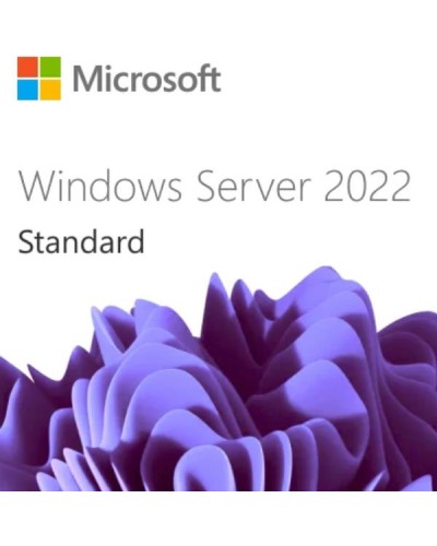 WIN SRV 2022 CAL 1 USER CAL 1 YEAR