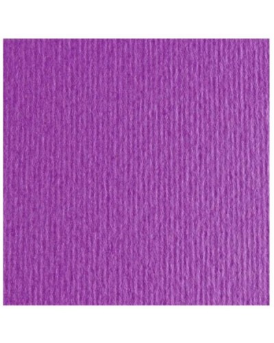 CF10 LR VIOLA-70X100