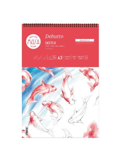 DEBUTTO - SCHIZZO SPIRALE 50 FG. 120 GR. - CM.29,7X42 (A3+)