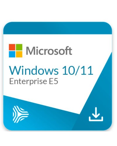 WINDOWS 10/11 ENTERPRISE E5