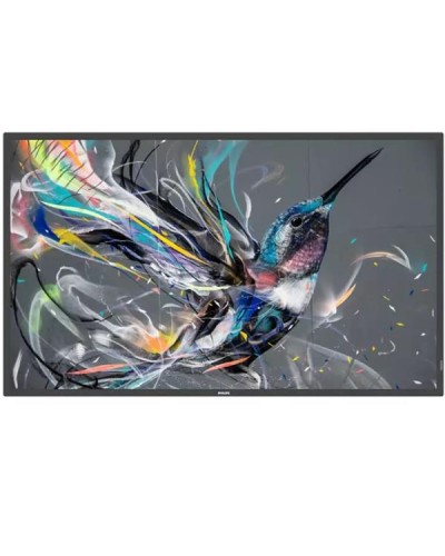 MONITOR 50 Q-LINE 18/7 4K