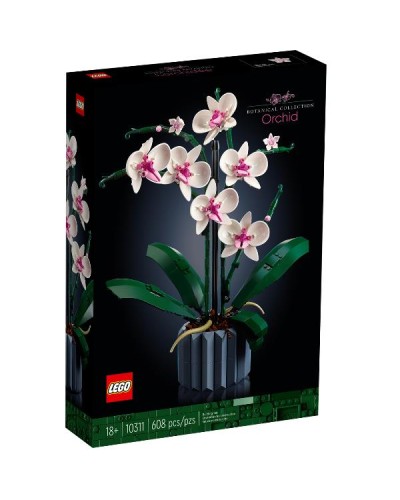 ORCHIDEA