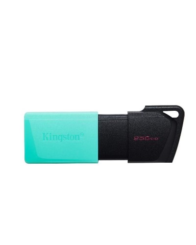 Kingston - DataTraveler Exodia M 256GB