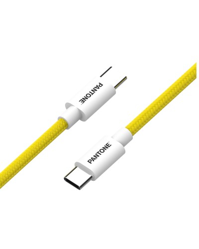 PANTONE - Cavo USB-C to USB-C potenza massima 60 Watt, connettore reversibile, lunghezza cavo 1.5 mt