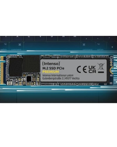 M.2 SSD PCIE PREMIUM 1 TB GEN 3X4