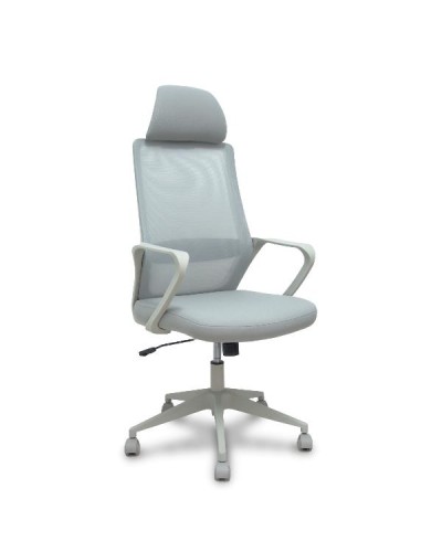 PRO534 RETE NE/TES NE/BR FIS/PT REG