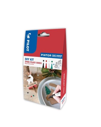 PINTOR - DIY KIT - XMAS PLACE CARDS