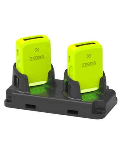 RS2100 2 SLOT CRADLE