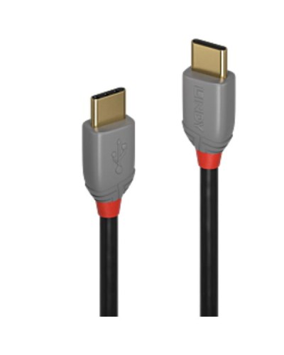 Cavo USB 2.0 Tipo C Anthra Line, 0.5m