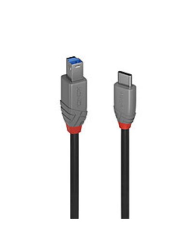 Cavo USB 3.2 Tipo C a B, 5Gbit/s, Anthra Line, 1m