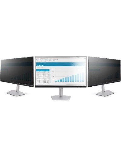 Filtro per la privacy per monitor da 22"
