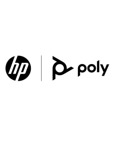 Poly+ 1 anno per Poly Studio USB