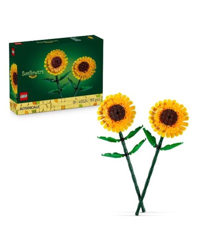 GIRASOLI