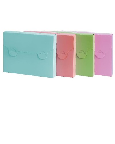 VALIGETTA PASTELLO 38X29 D5 PP ASS