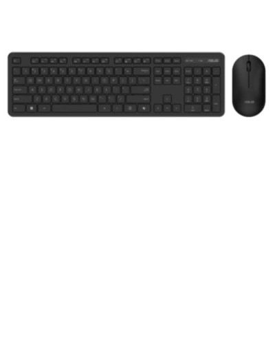 KITM+T/IT/WR/2.4GHZ COPILOT CW100