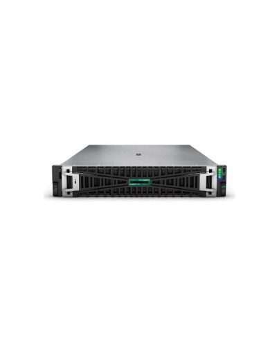 SMART CHOICE HPE DL380 G11 4510 64G