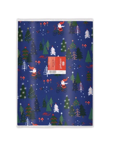 CARTA REGALO RASO BUSTE DA 10 FOGLI
