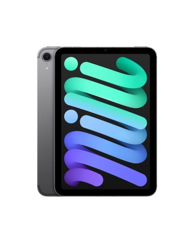 iPad mini Wi?Fi + Cellular 128GB - Grigio siderale