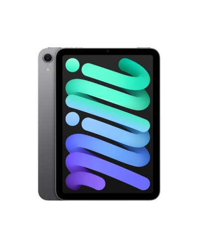 iPad mini Wi-Fi 256GB - Grigio siderale
