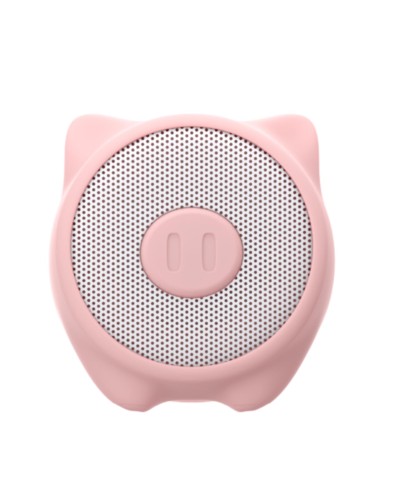 WSPIG - 3W Wireless Speaker Summer