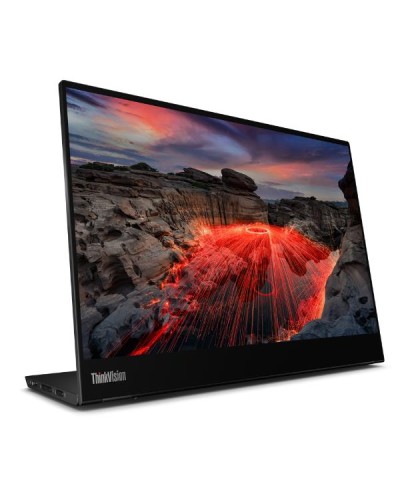 ThinkVision M14t Gen 2